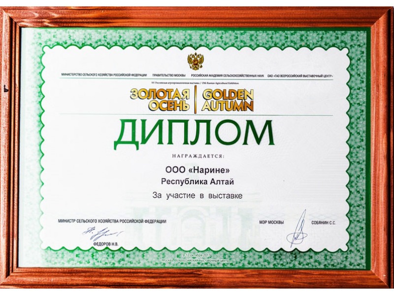 Дипломы и благодарственные письма — изображение 5
